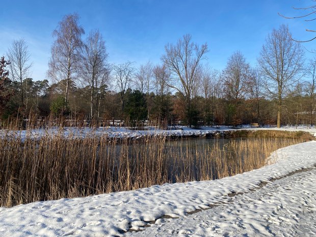 Winterzauber