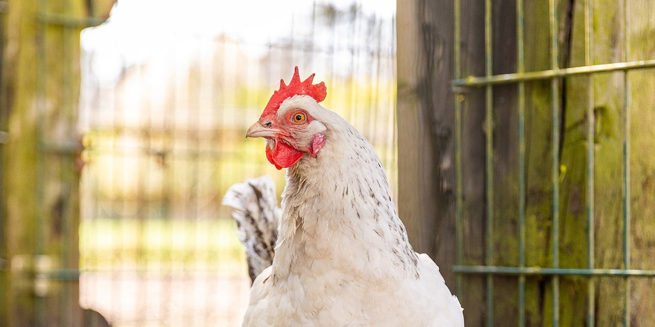 Forstgut Schmalhorn von Jürgen Lindhorst und Familie