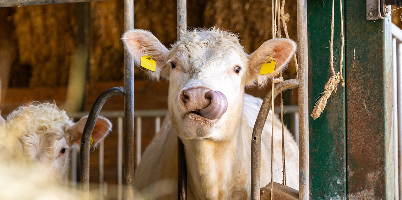 Forstgut Schmalhorn von Jürgen Lindhorst und Familie