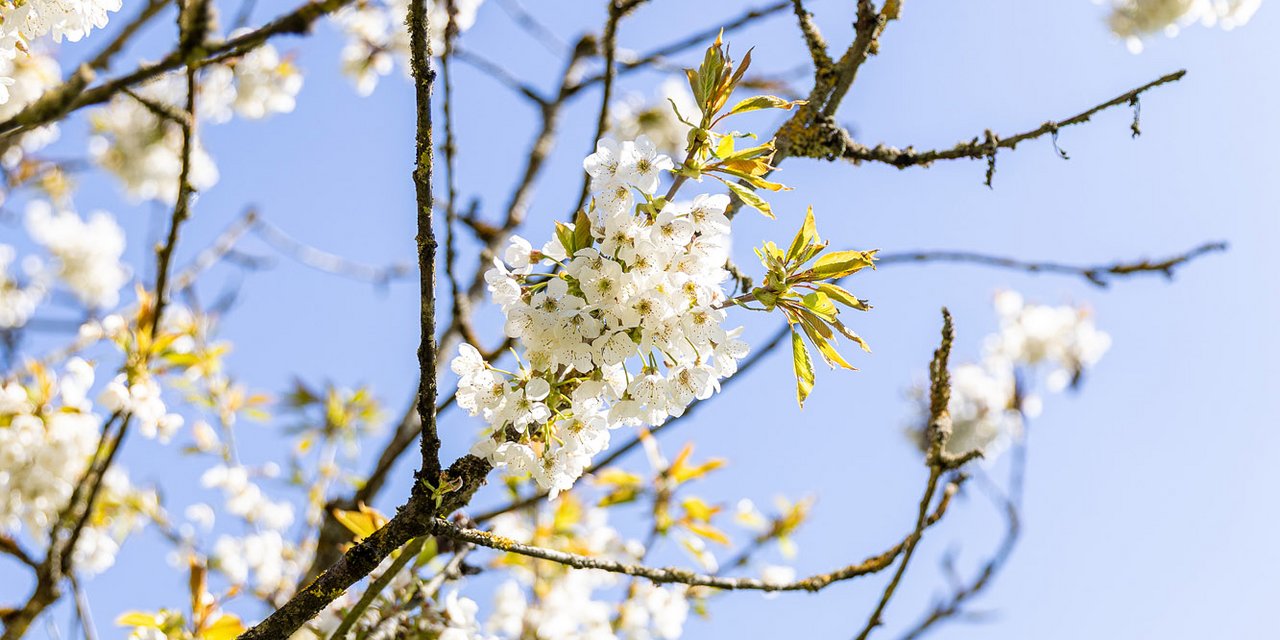Forstgut Schmalhorn von Jürgen Lindhorst und Familie